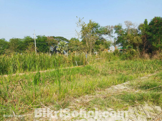 সাশ্রয়ী মূল্যে প্লট/জমি বিক্রয় করা হচ্ছে